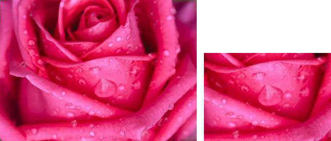 1768132963594504.jpg 1006.jpg